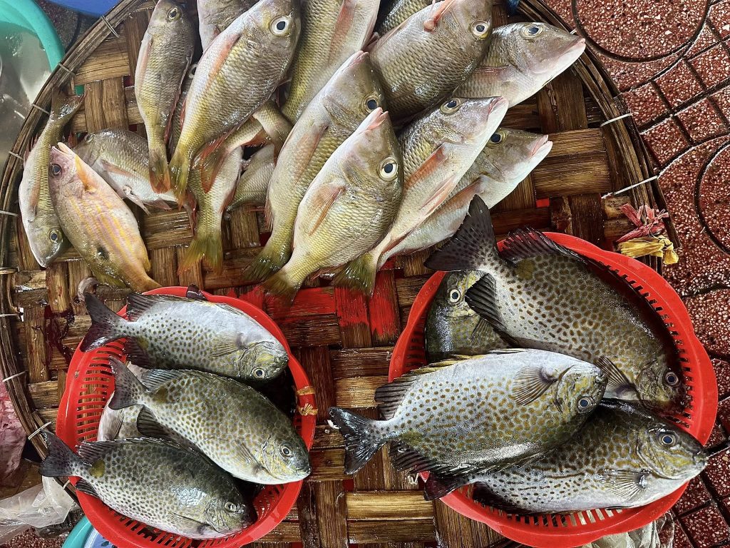 Hình ảnh văn hóa chợ hải sản Nha Trang với hải sản tươi rói