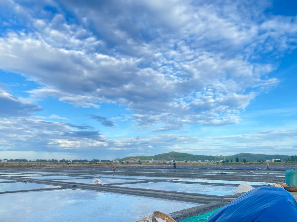 cánh đồng muối trắng lấp lánh dưới nắng gay gắt