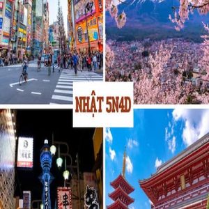 [Tour Tết 2026] Tour Nhật Bản Tokyo - Fuji 5N4Đ - Bay Vietjet Air