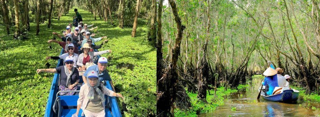 du khách trải nghiệm cảm giác chèo xuồng ba lá xuyên rừng tràm