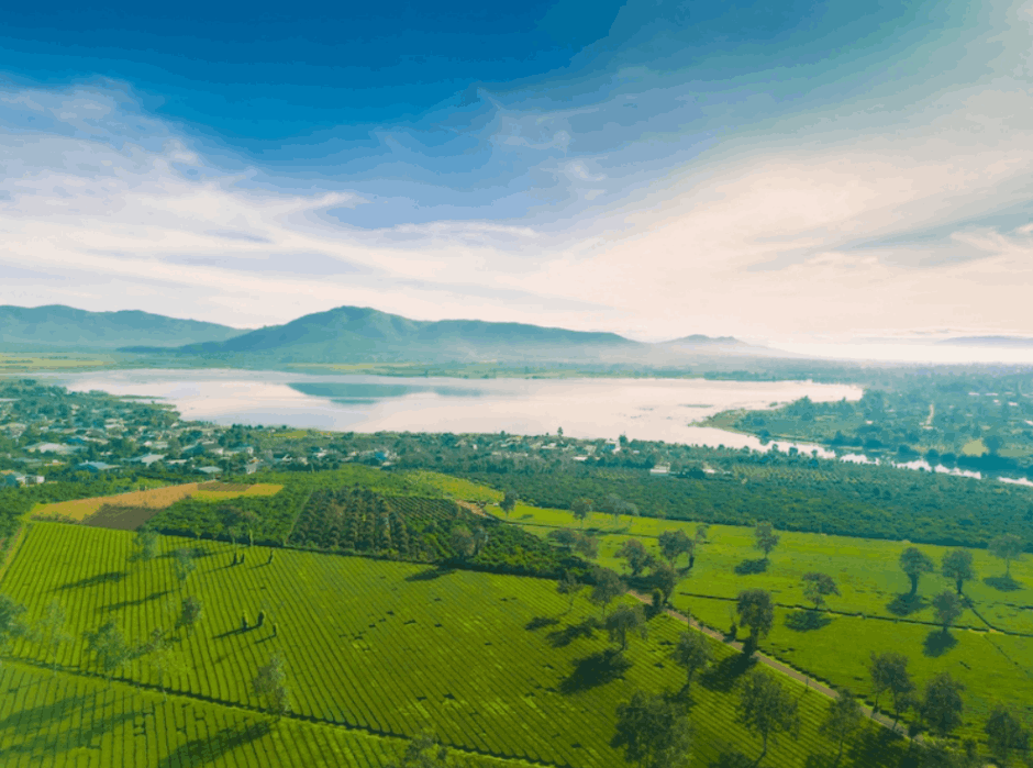 Biển Hồ Chè – Màu xanh bất tận. Địa điểm phải thử khi đi chơi Gia Lai