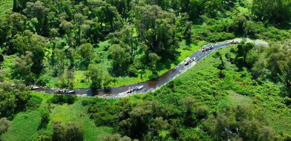 hình ảnh rừng tràm Trà Sư với vẻ đẹp thiên nhiên hùng vĩ, con sông uốn lượn tạo nên nét đẹp độc đáo