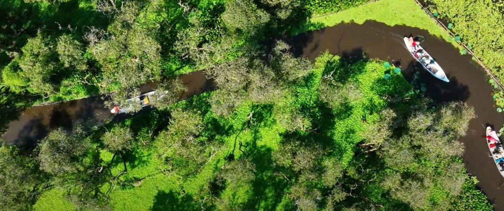 khung cảnh rừng tràm Trà sư ở miền Tây tuyệt đẹp với 2 hàng cây xanh um bao trọn lấy dòng sông, du khách đang trải nghiệm đi thuyền để tham quan cảnh đẹp ở đây