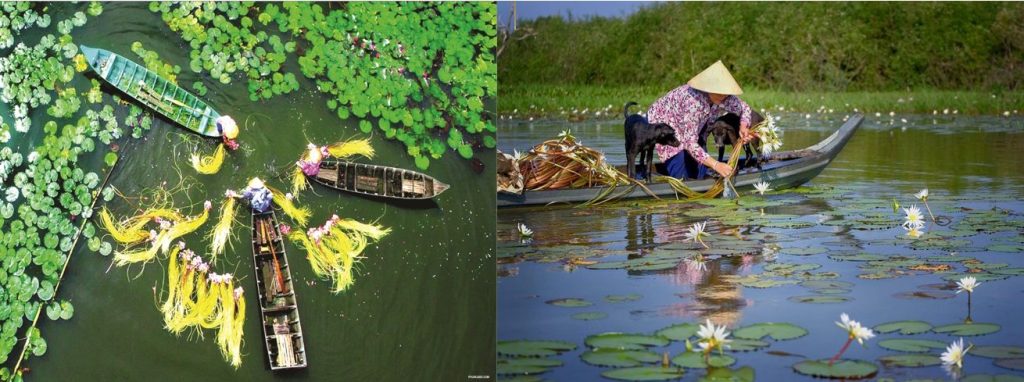 hình ảnh sông nước miền Tây